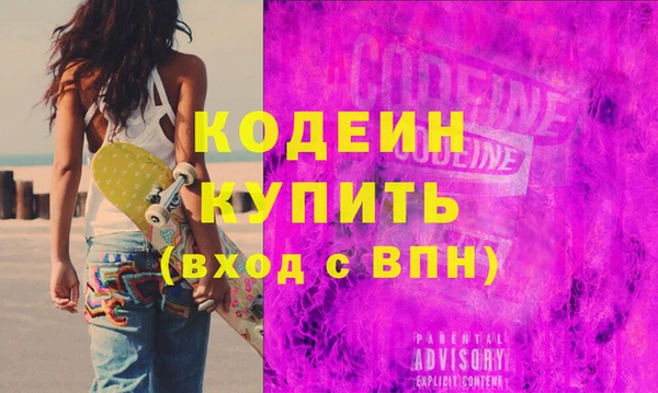 индика Каменногорск