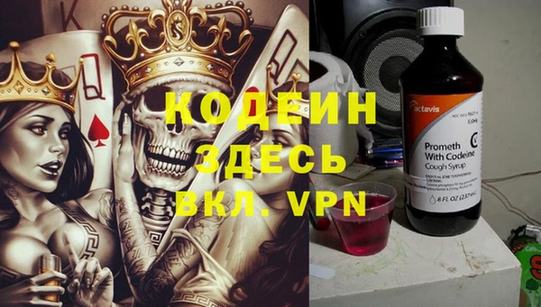 индика Каменногорск