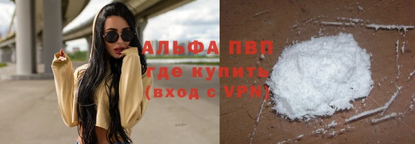 тгк Каменка