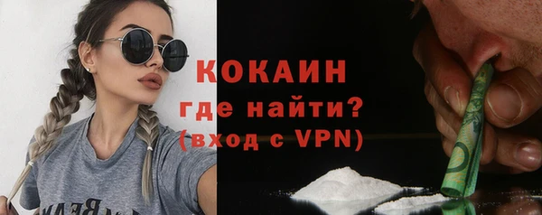 индика Каменногорск