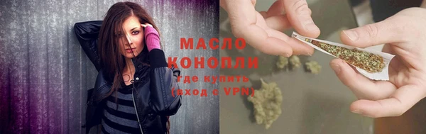 индика Каменногорск
