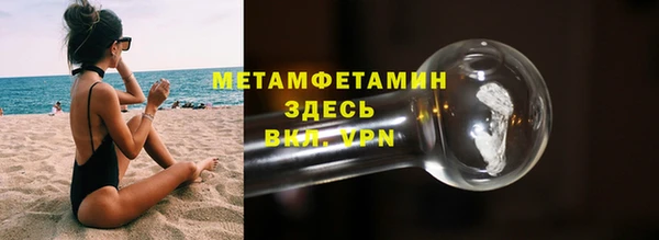 индика Каменногорск