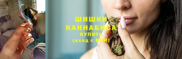тгк Каменка