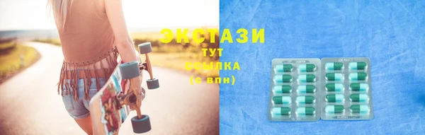индика Каменногорск