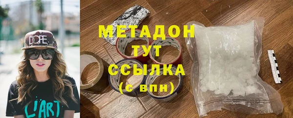 индика Каменногорск
