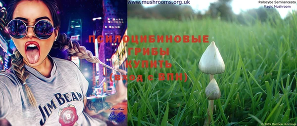 тгк Каменка