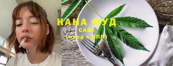 индика Каменногорск