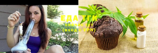 тгк Каменка