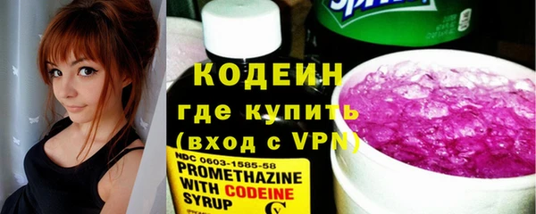 индика Каменногорск