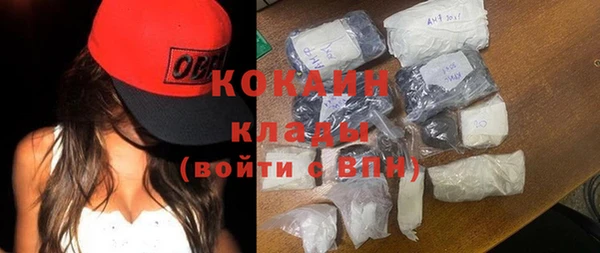 индика Каменногорск