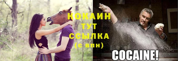 индика Каменногорск