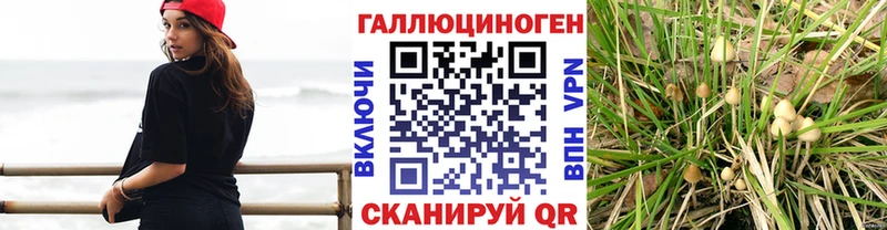 Галлюциногенные грибы прущие грибы  как найти закладки  Котовск 