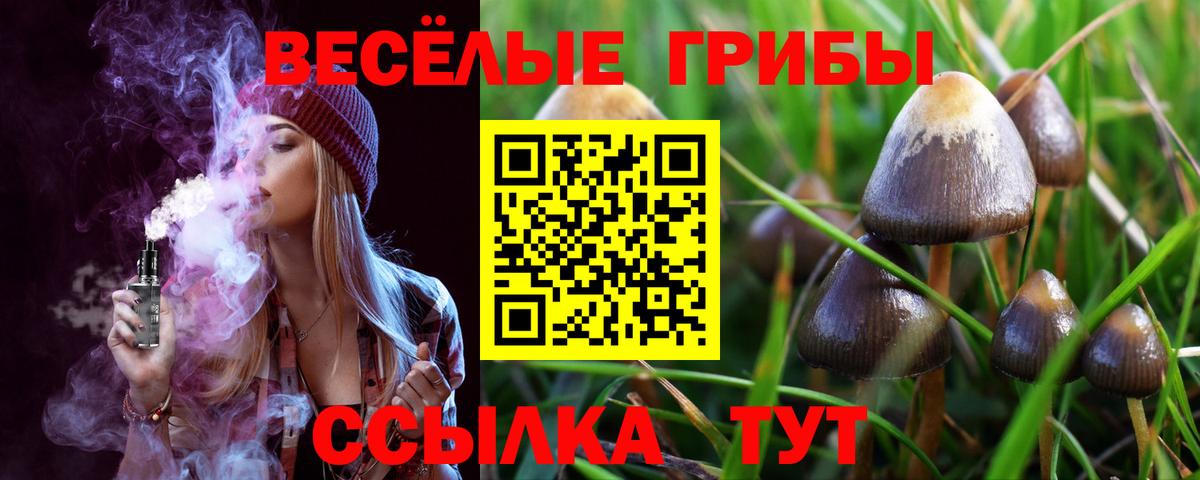 Псилоцибиновые грибы ЛСД Котовск