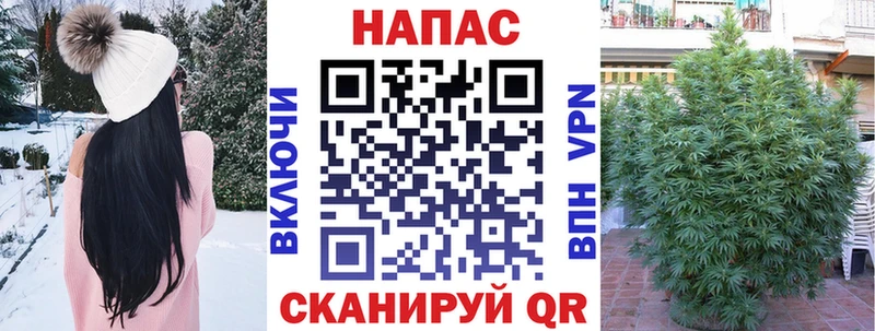 Каннабис план  купить наркотик  Котовск 